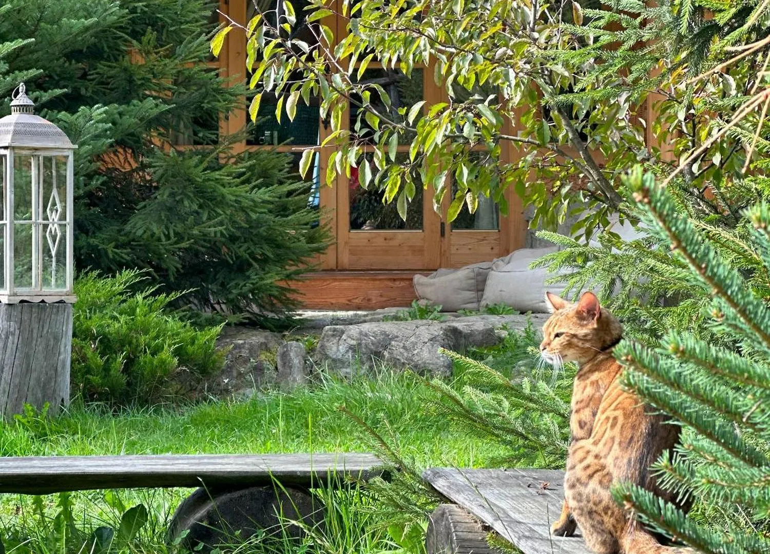 Gorska Osada Beautiful Chalets 扎科帕内
